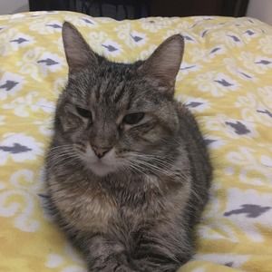 Meet your Posher, Natalle